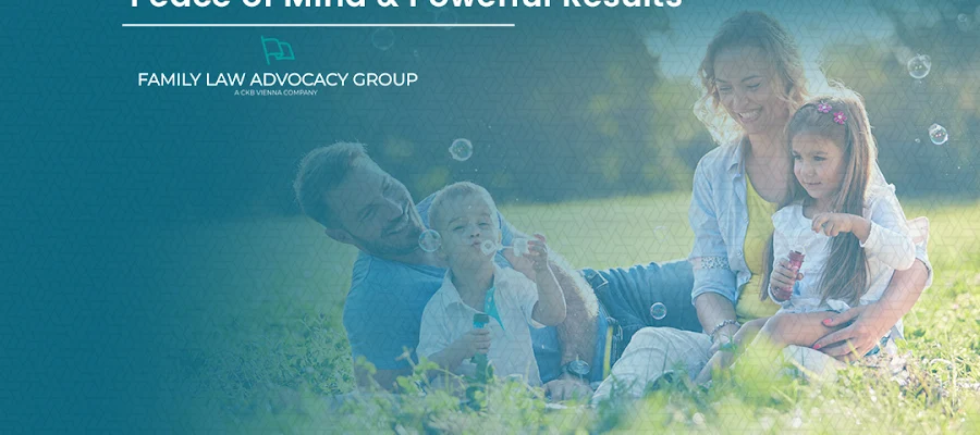 Family Law Advocacy Group