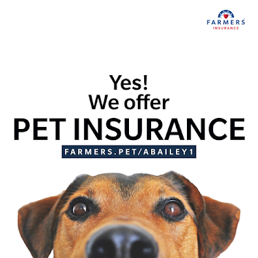 Farmers Insurance - Adrienne Bailey