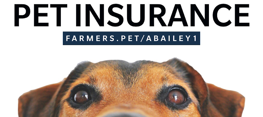 Farmers Insurance - Adrienne Bailey