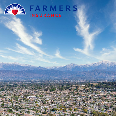 Farmers Insurance - Janice Chen