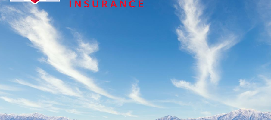 Farmers Insurance - Janice Chen