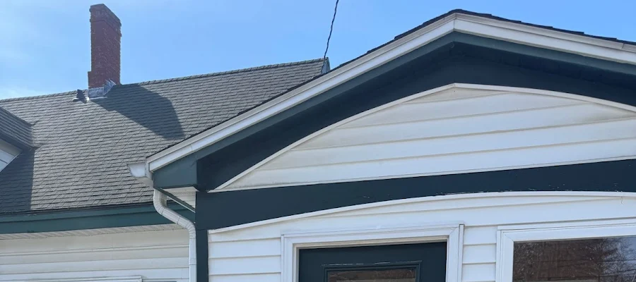 Fiddlehead Dental