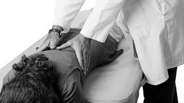 First Capitol Chiropractic and Rehab