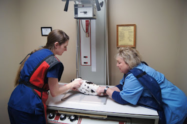 Flanary Veterinary Clinic