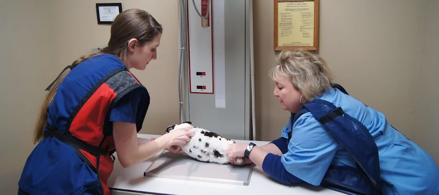 Flanary Veterinary Clinic