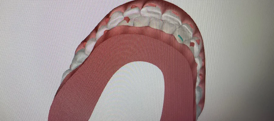 Flower Hill Dental