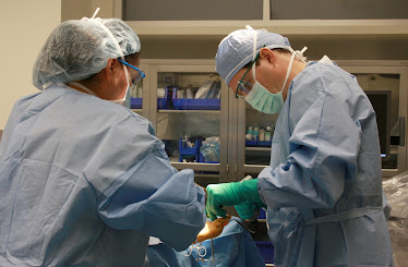 Foot and Ankle Center of Arizona | Kris A. DiNucci, DPM, FACFAS