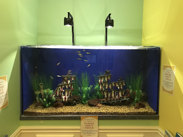 Fox Pediatrics, PLC