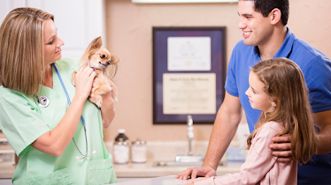 Franklin Veterinary Associates