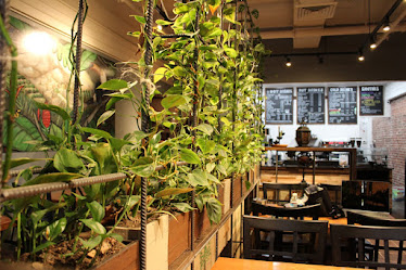 Fresscafe