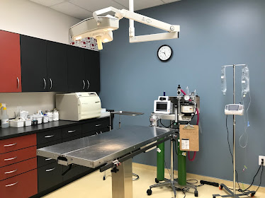 Friendship Animal Hospital