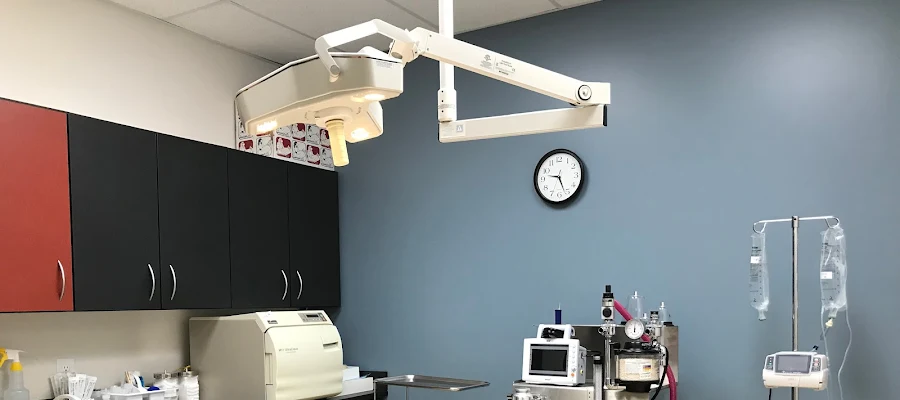 Friendship Animal Hospital
