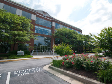 Gabaie & Associates LLC
