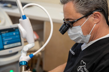 Gentle Dentistry