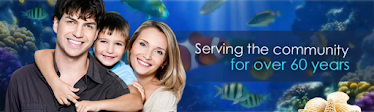 Goldberg & Marcus Dental Associates