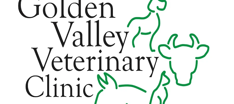 Golden Valley Veterinary Clinic