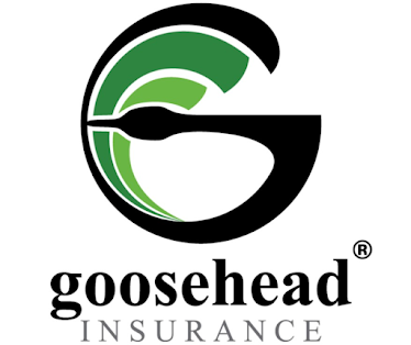 Goosehead Insurance - Abdullah Al-Hadeethi