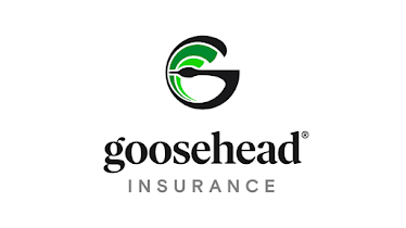 Goosehead Insurance - Rod DeGuzman