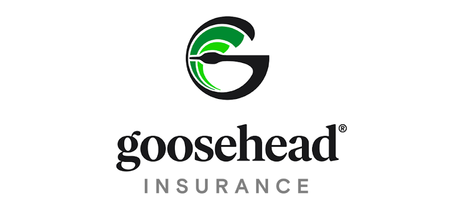 Goosehead Insurance - Rod DeGuzman