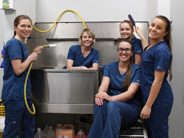 Grays Harbor Veterinary Services