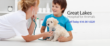 Great Lakes Hospital for Animals