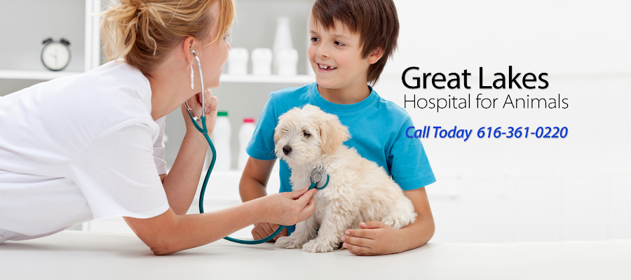 Great Lakes Hospital for Animals