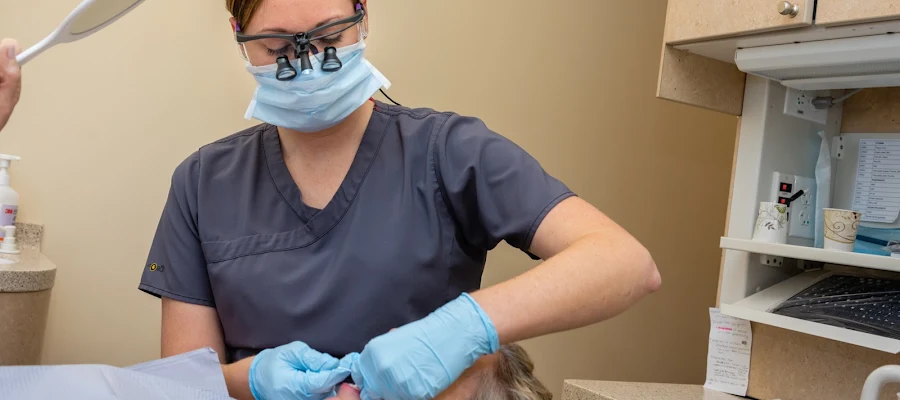 Green Hills Family & Cosmetic Dentistry: Dr. Ari Forgosh