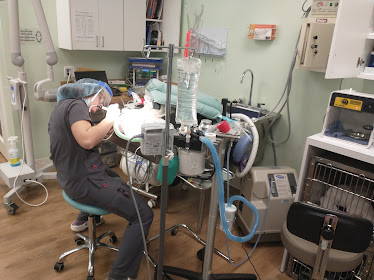 Green Valley Veterinary Care