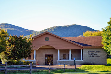 Greylock Animal Hospital