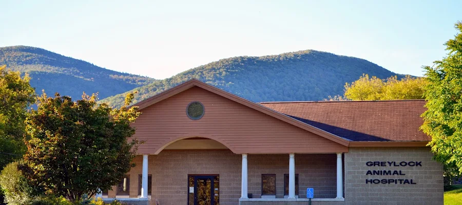 Greylock Animal Hospital