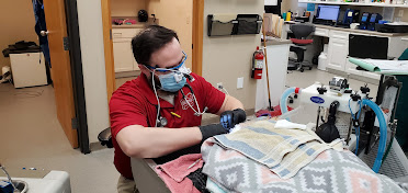 Grinnell Veterinary Clinic, LLP