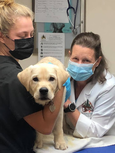 Hanover Veterinary Clinic