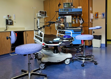 Hapy Bear Surgery Center