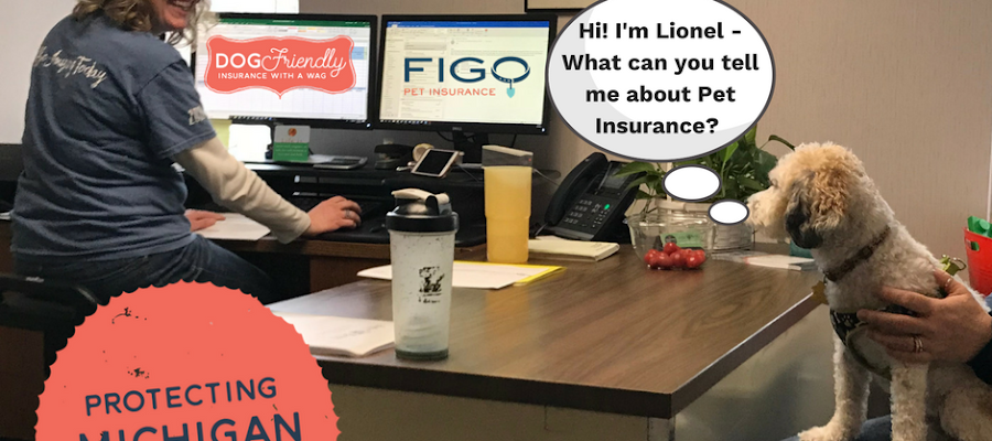 Harbor Brenn Insurance Agencies