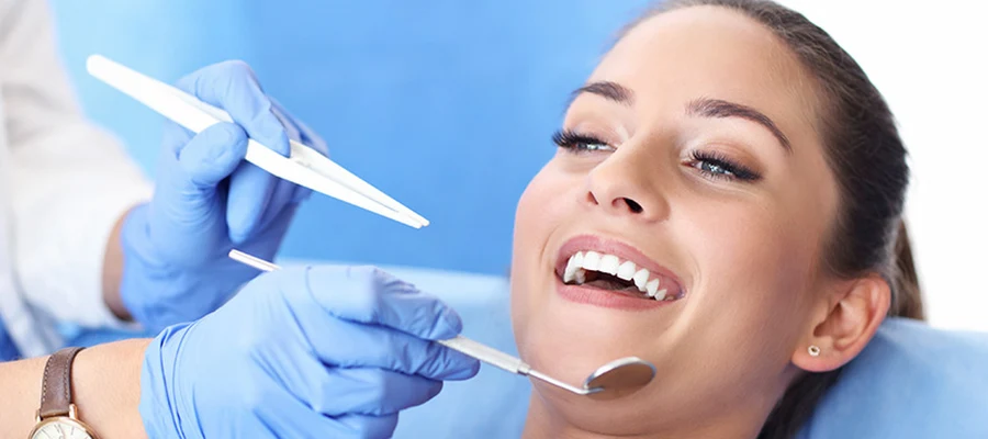 Harborside Dental Team
