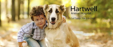 Hartwell Animal Hospital