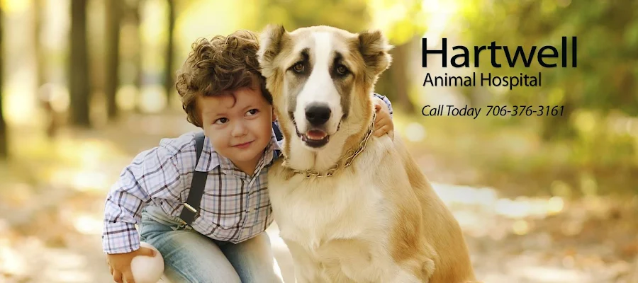 Hartwell Animal Hospital
