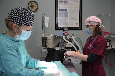 Healing Paws Veterinary Care