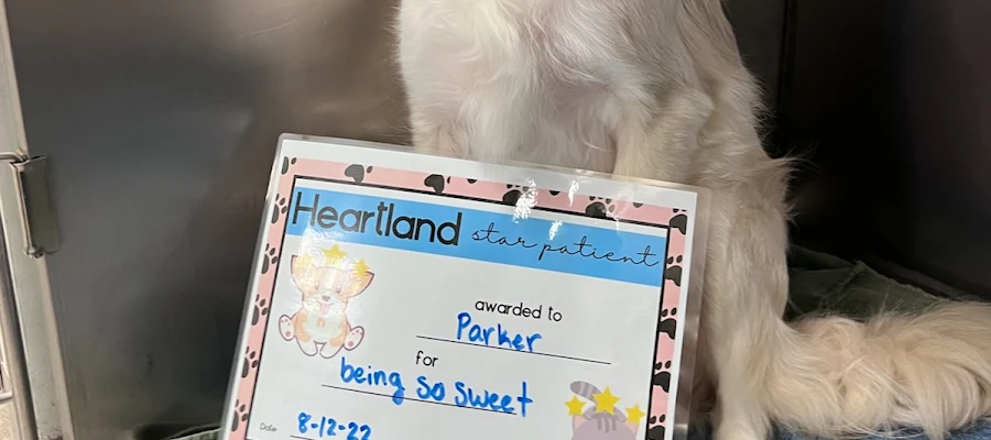 Heartland Veterinary Clinic
