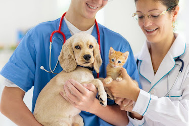 Hebron Veterinary Hospital