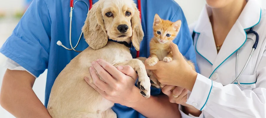 Hebron Veterinary Hospital