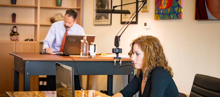 Heise & Heise, LLP