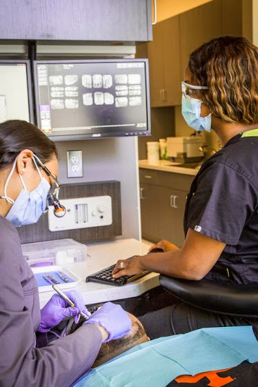 Highland Dental
