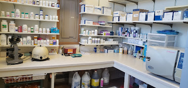 Hillsboro Veterinary Service