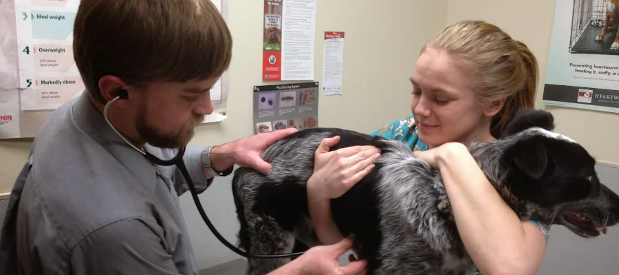Hinkle's Pet Hospital