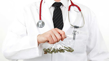Hollywood Marijuana Card Marijuana Doctors