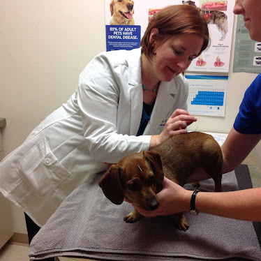 Hometown Veterinary Clinic