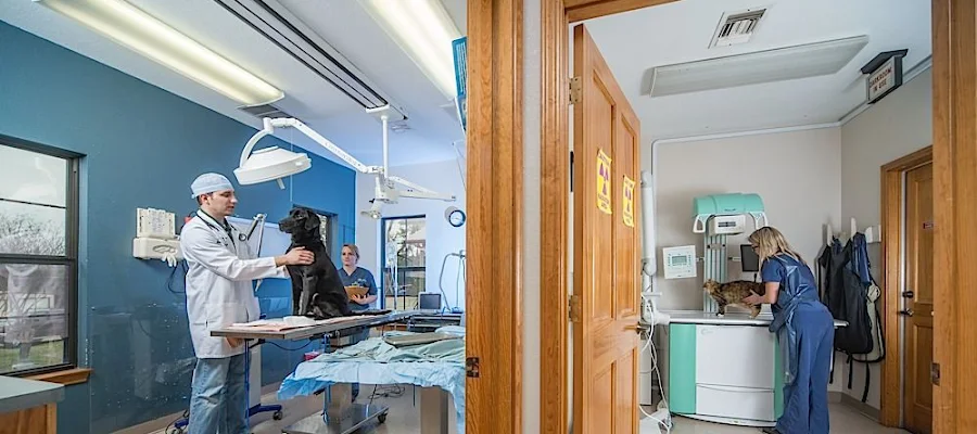 Hope Animal Clinic