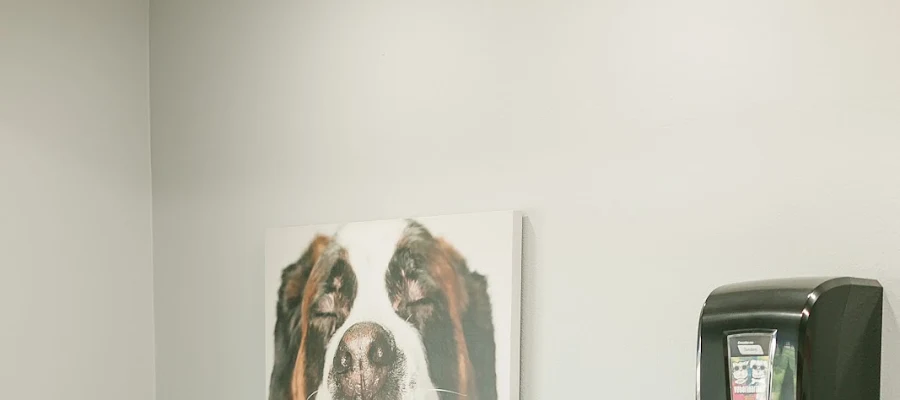 Hot Springs Animal Hospital