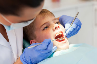 Houston Dentist Dr Kamila | Houston Cosmetic and Holistic Dentist